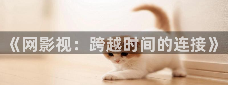 日本韩国午夜影院：《网影视：跨越时间的连接》