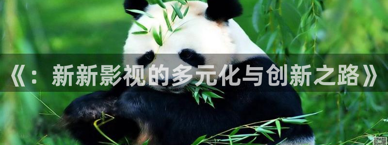 2018午夜在线电影网：《：新新影视的多元化与创新之路》