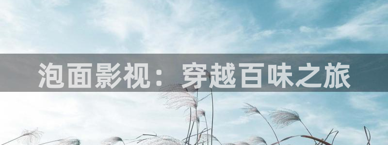 樱桃午夜电影：泡面影视：穿越百味之旅