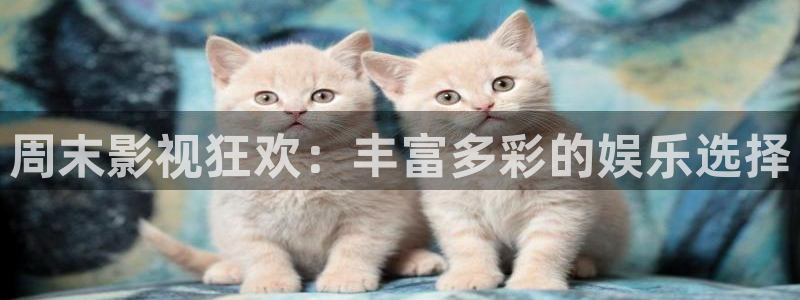 午夜男女：周末影视狂欢：丰富多彩的娱乐选择